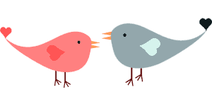 ציפורים